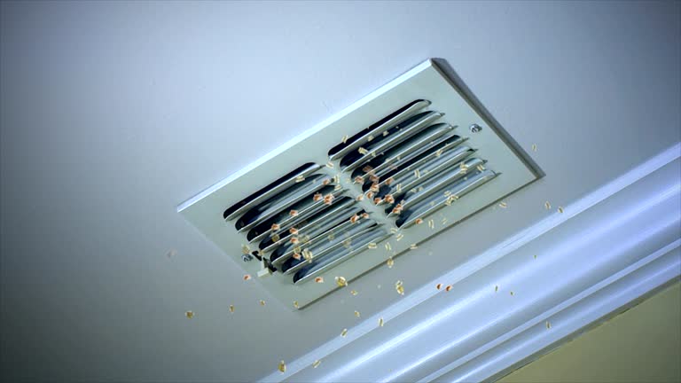 Best Air Duct Cleaning Near Me  in Bawcomville, LA