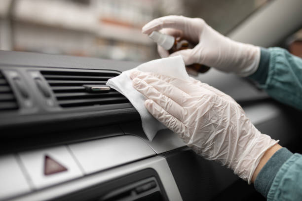 Best Air Duct Mold Removal  in Bawcomville, LA