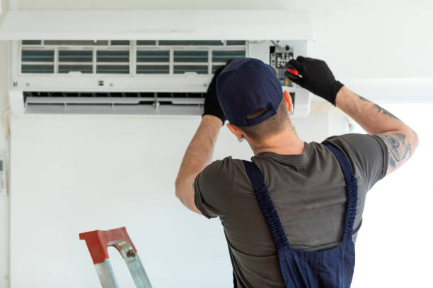 Air Duct Mold Removal in Bawcomville, LA