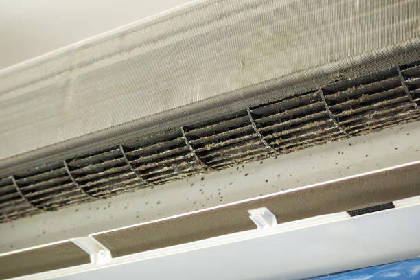 Best Affordable Duct Cleaning Services  in Bawcomville, LA